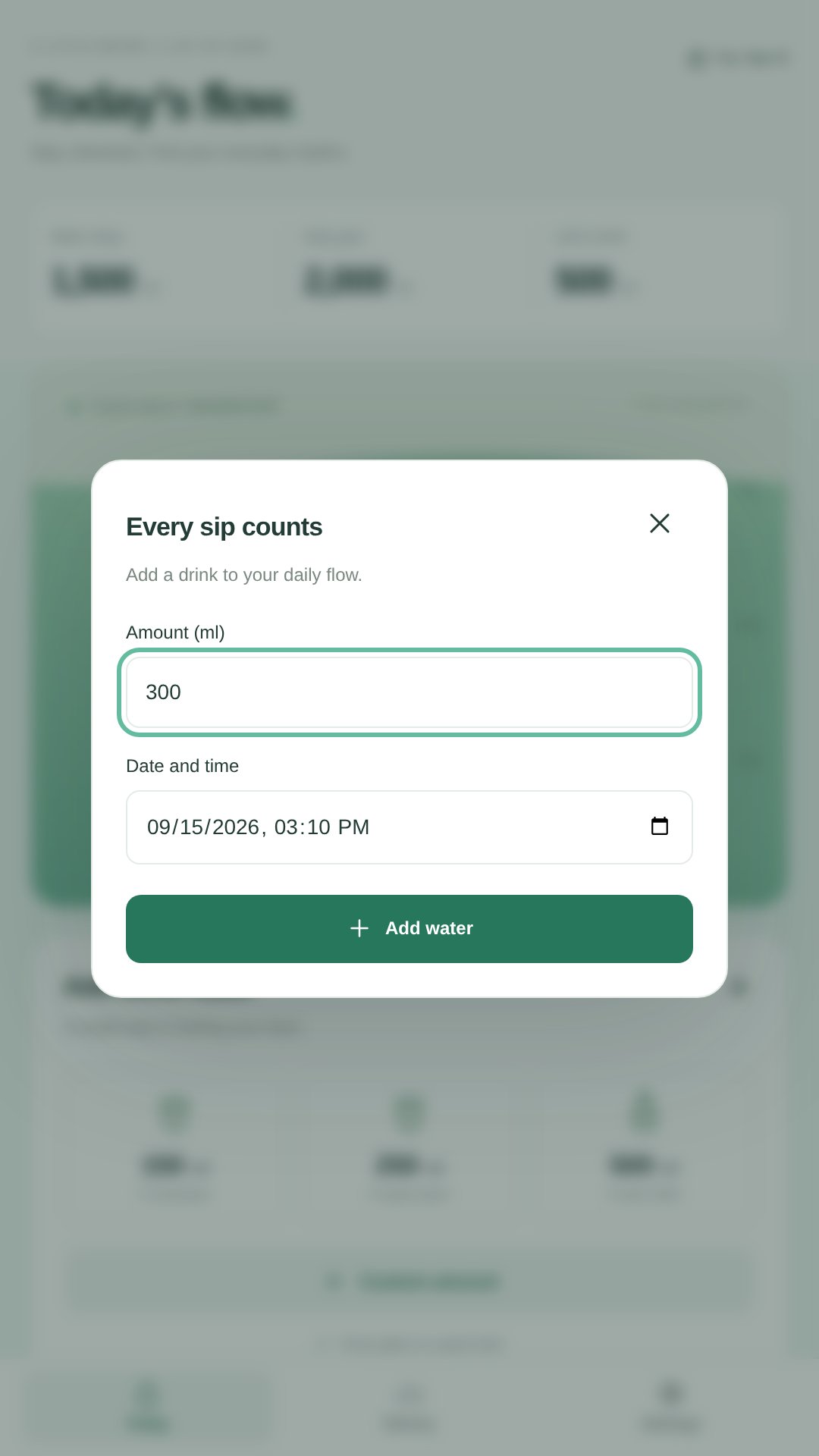 Enter a custom amount with its date and time.